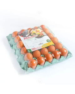MATINALES *30 OEUFS L/GROS