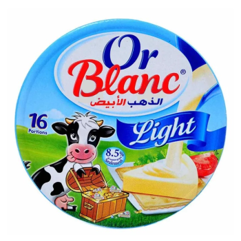 Frommage Fondu Light 16P