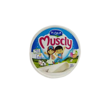 Muscly Prép° Boîte 24P