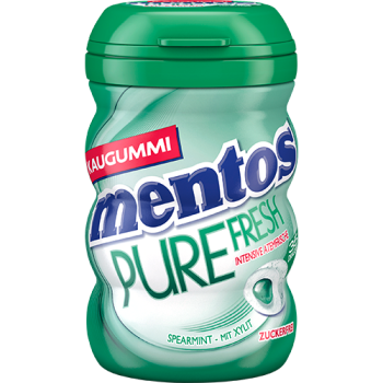 mentos gum spear mint 70g