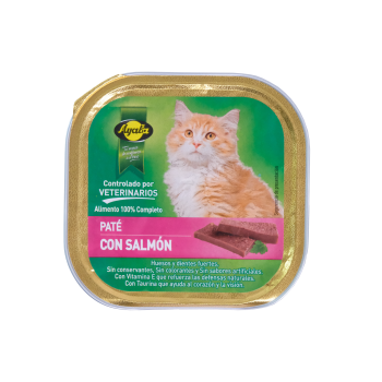 Gatos-Pâté Au Saumon  300 G 2